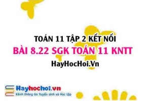 Bài 8.22 SGK Toán 11 Tập 2 Kết nối tri thức